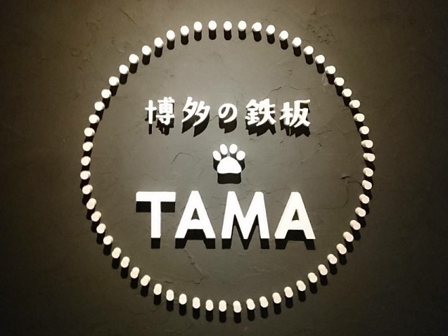 TAMA (1)
